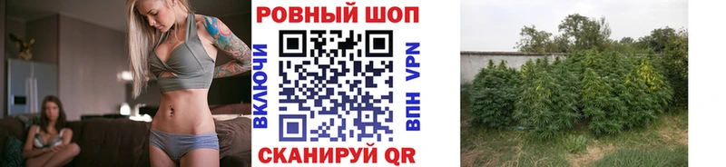 Купить наркоту Канаш Канабис  OMG как зайти  АМФЕТАМИН  Меф мяу мяу  Гашиш  A-PVP  Cocaine 