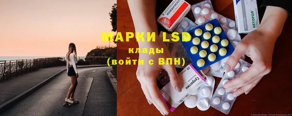 прущая мука Арсеньев