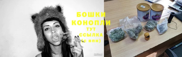 винт Баксан