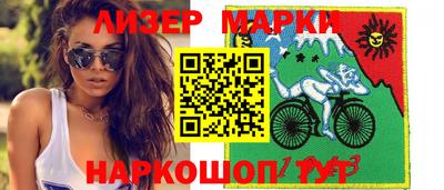 стаф Гатчина