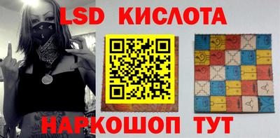 стаф Гатчина