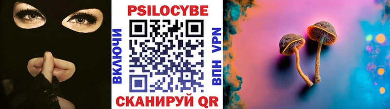 площадка формула  где продают   Канаш  Псилоцибиновые грибы ЛСД 